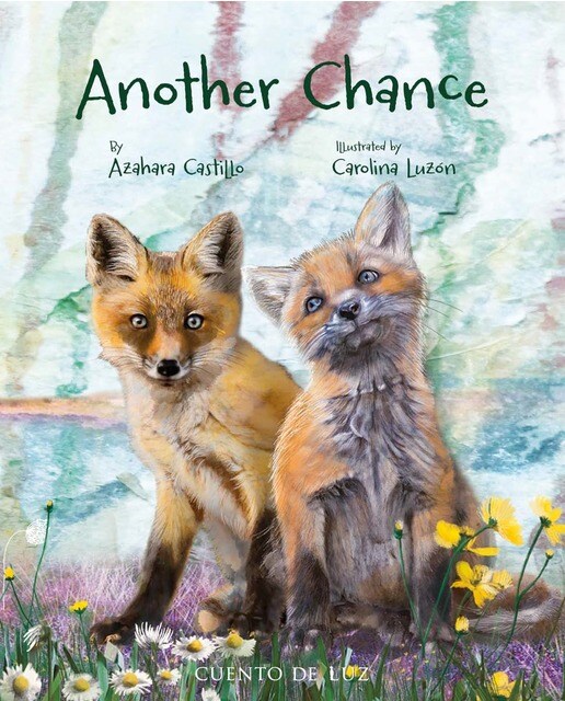 Another Chance (Capa dura) 1
