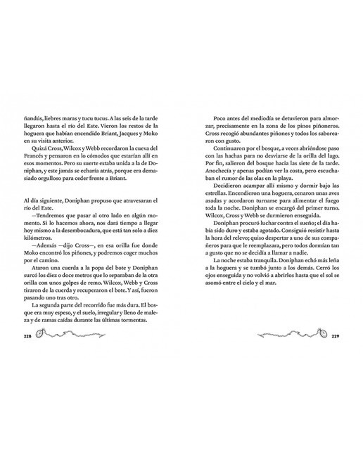 Julio Verne - Dos años de vacaciones (edición actualizada, ilustrada y adaptada)  (Tapa blanda) 5