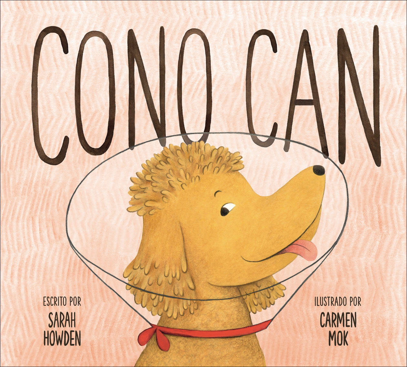 Cono Can (Capa dura) 1