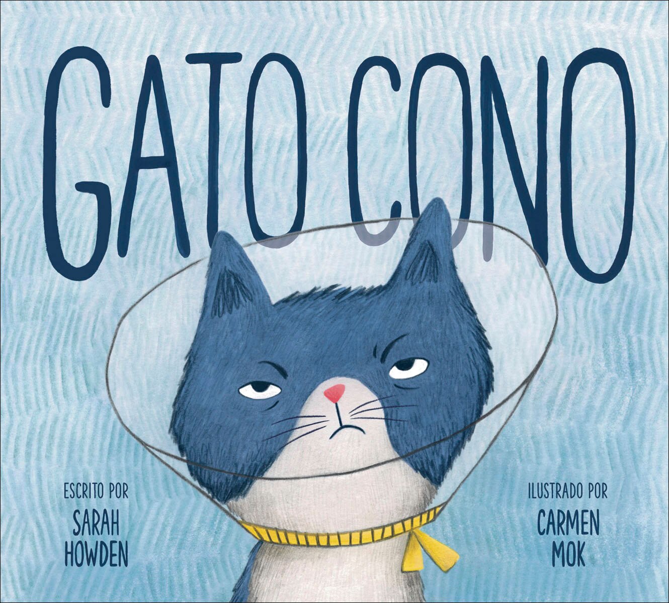 Imagen 0 de Gato Cono (Tapa blanda Tapa dura)