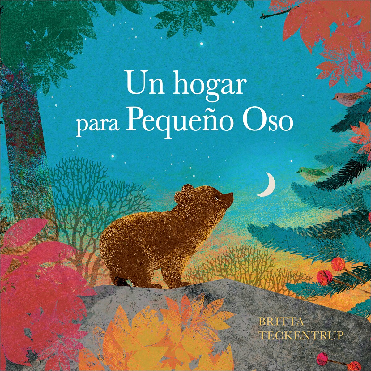 Imagem 0 de Un hogar para pequeño Oso (Capa dura)