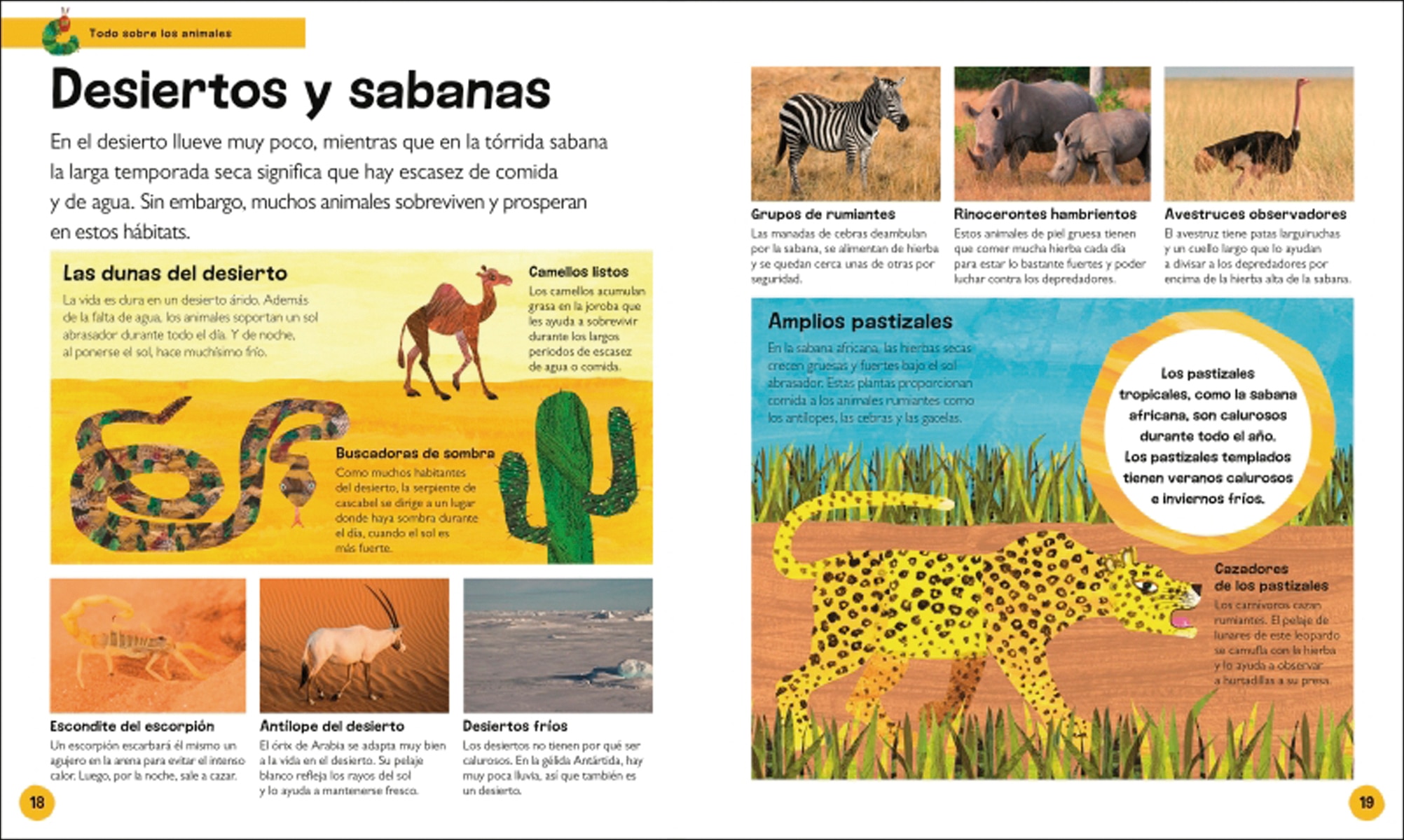 La pequeña oruga glotona: mi primera enciclopedia de animales: Descubre todo lo que quieres saber... ¡y mucho más! (Capa dura) 3