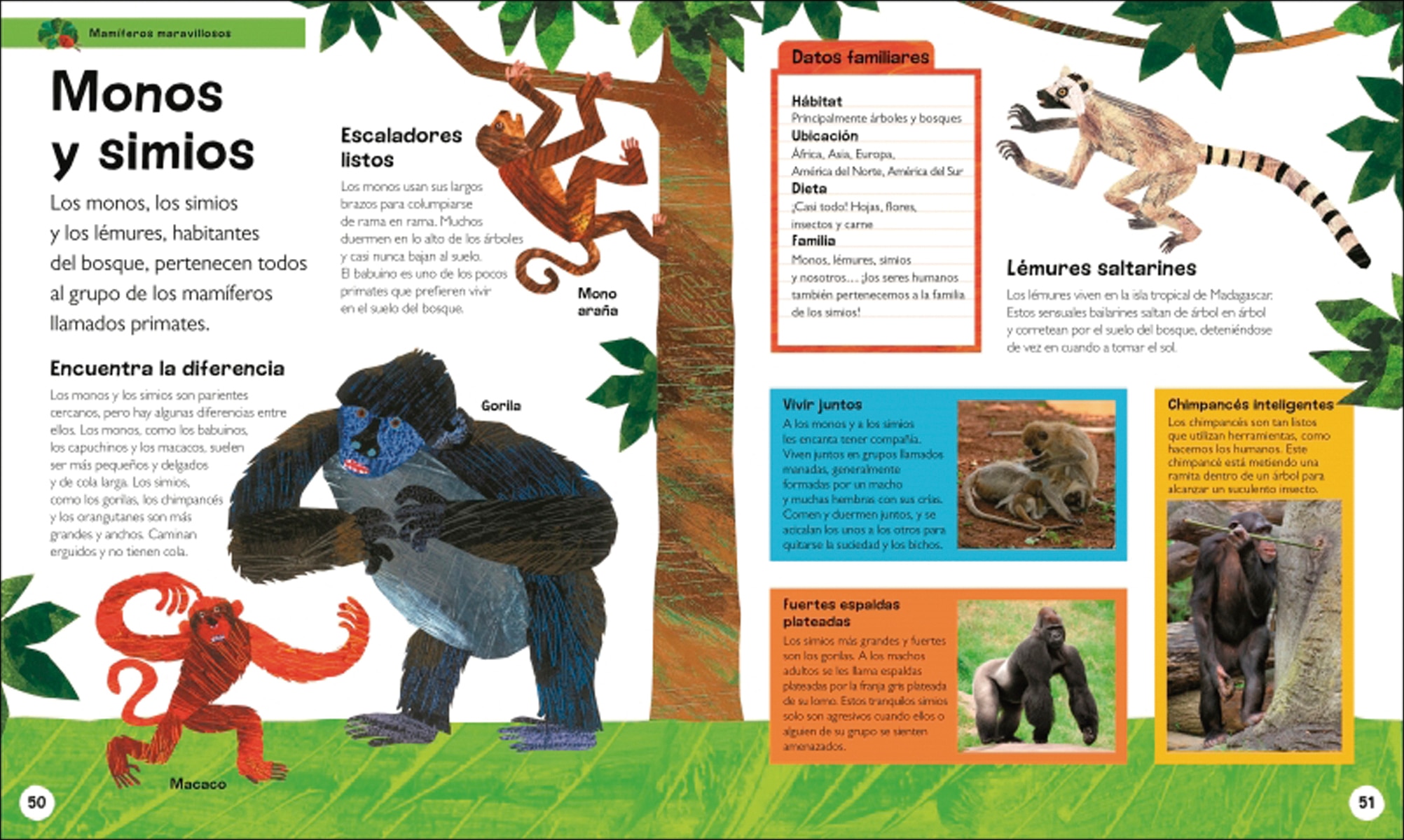 La pequeña oruga glotona: mi primera enciclopedia de animales: Descubre todo lo que quieres saber... ¡y mucho más! (Capa dura) 8