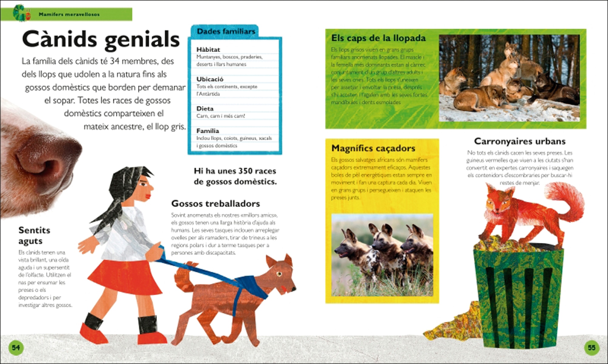 L'erugueta golafre: la meva primera enciclopèdia d'animals: Descobreix tot el que vols saber... i molt més! (Capa dura) 4