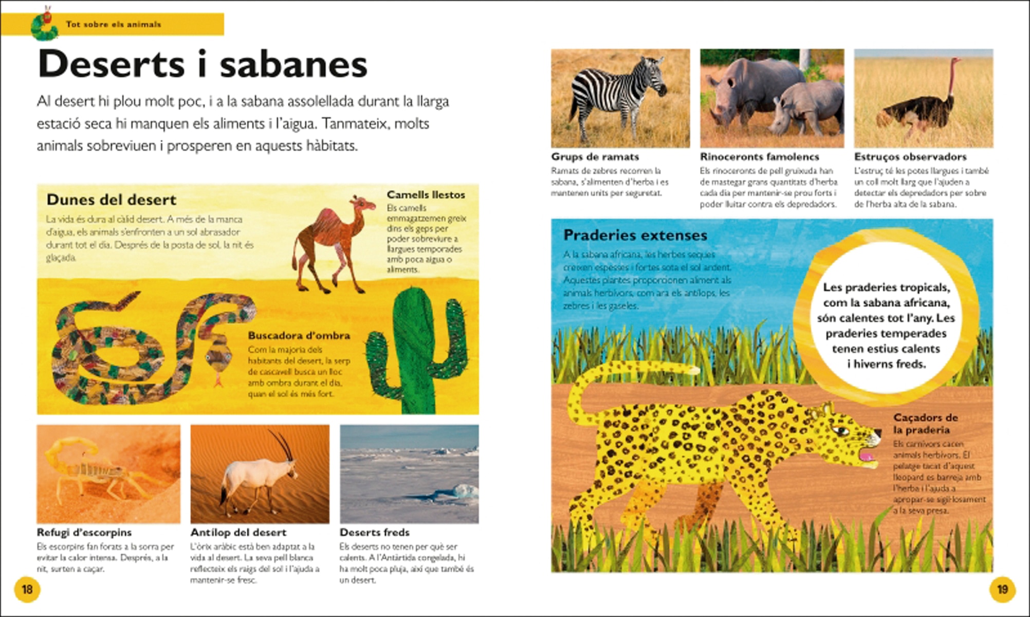 L'erugueta golafre: la meva primera enciclopèdia d'animals: Descobreix tot el que vols saber... i molt més! (Capa dura) 8