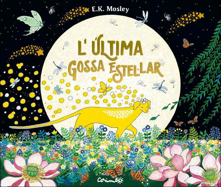L'ÚLTIMA GOSSA ESTEL·LAR 1