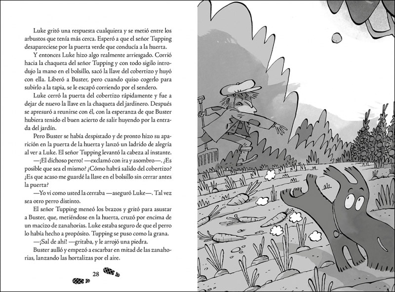 Los cinco detectives 2 - Misterio del gato desaparecido (Capa mole) 2