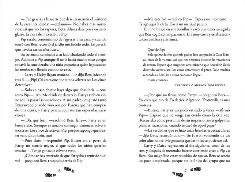 Los cinco detectives 2 - Misterio del gato desaparecido (Capa mole) 3