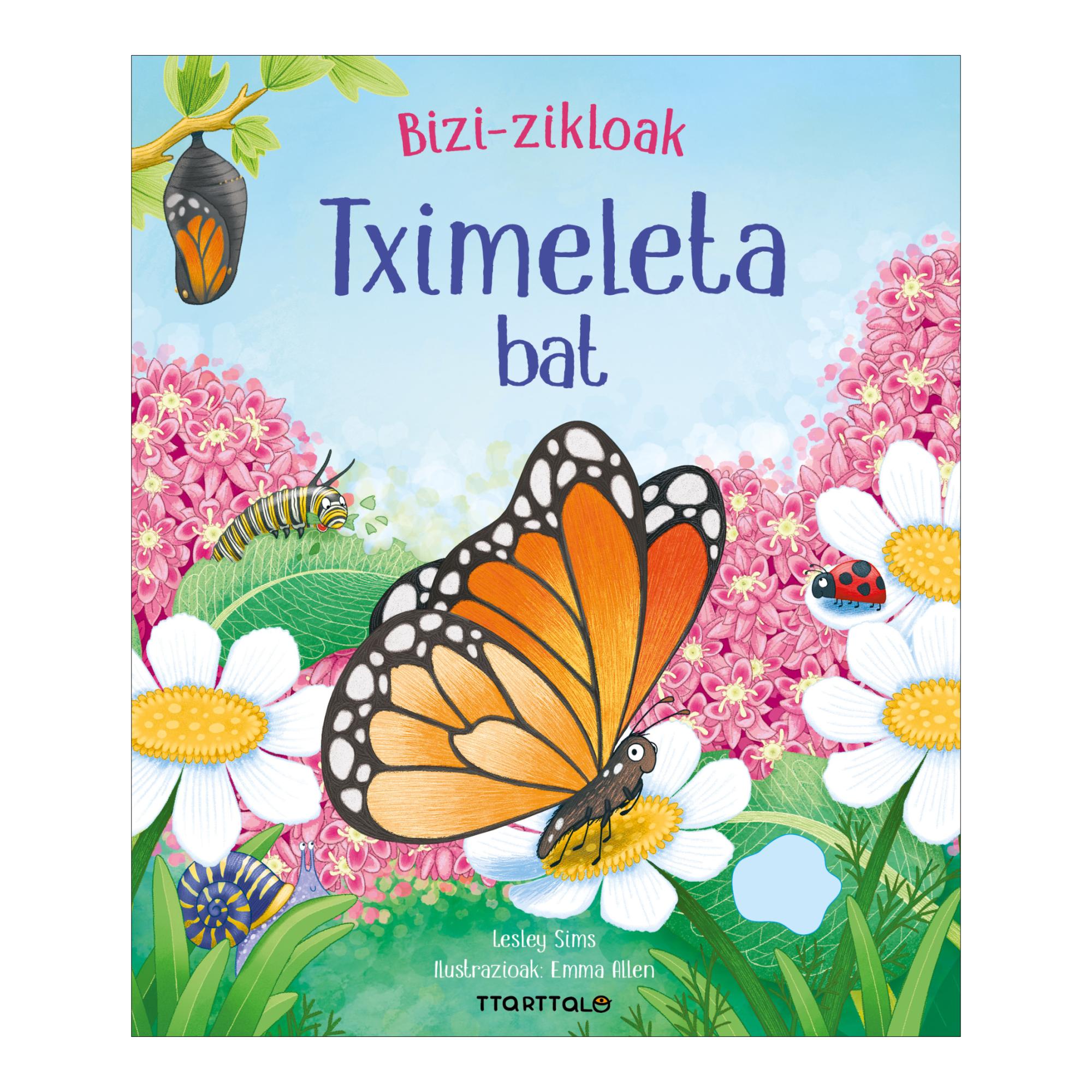 Tximeleta bat 1