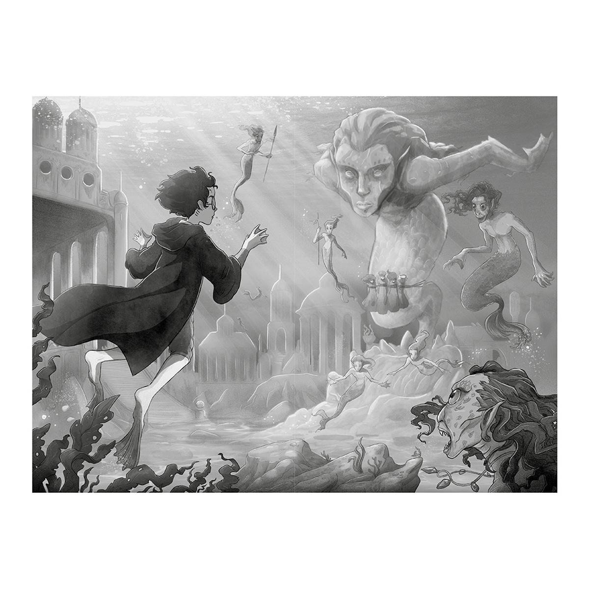 Harry Potter y el cáliz de fuego (Harry Potter, 4) Edición con ilustraciones de Xavier Bonet (Tapa dura) 2