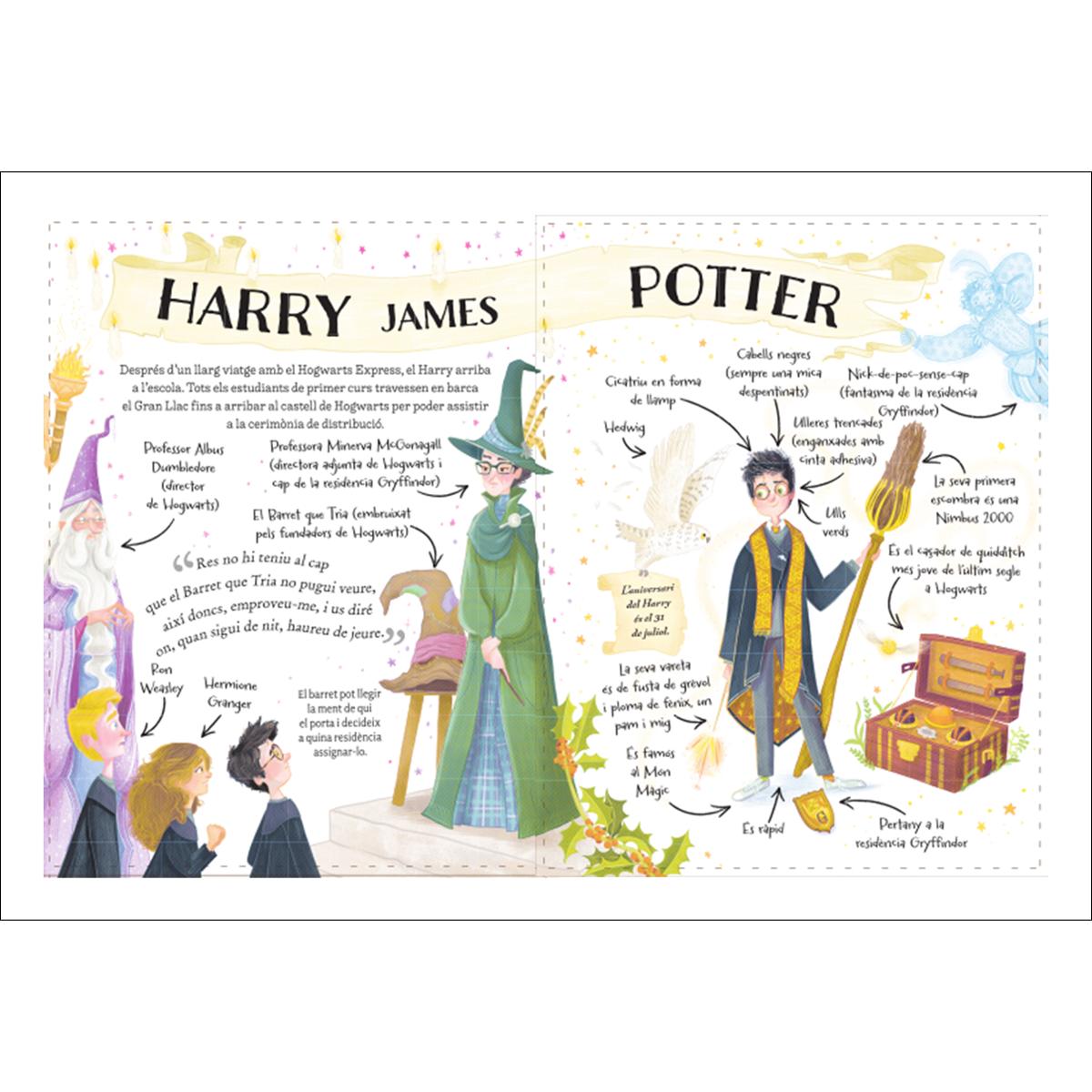 Harry Potter (Pocket Potters 1) 4
