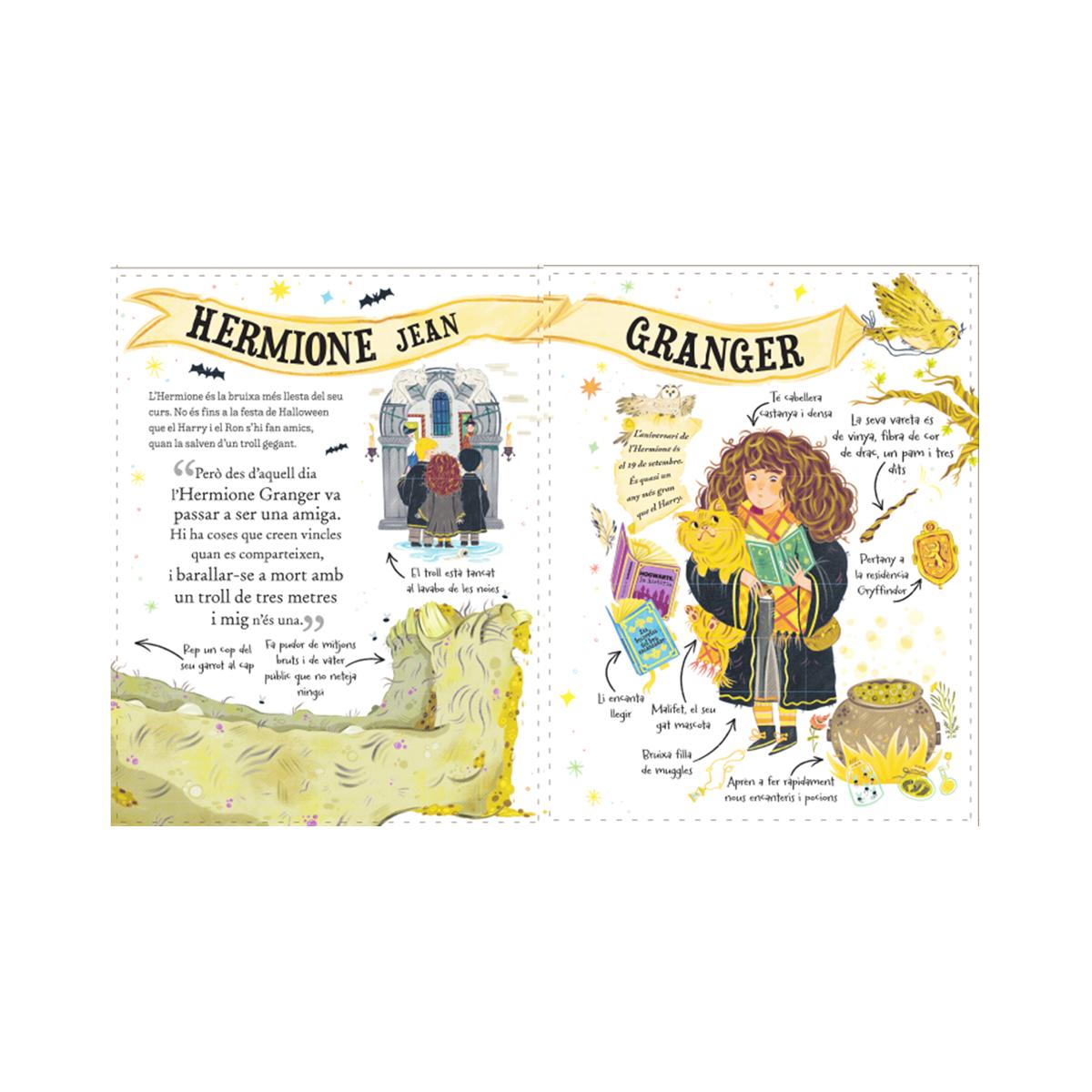 Hermione Granger (Pocket Potters 2) 2