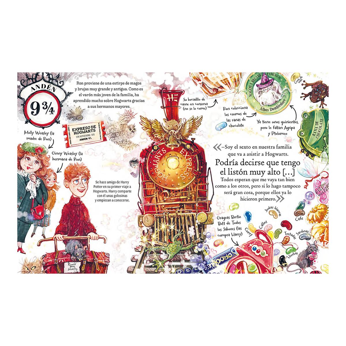 Pocket Potters 2 - Ron Weasley (Capa dura) 2