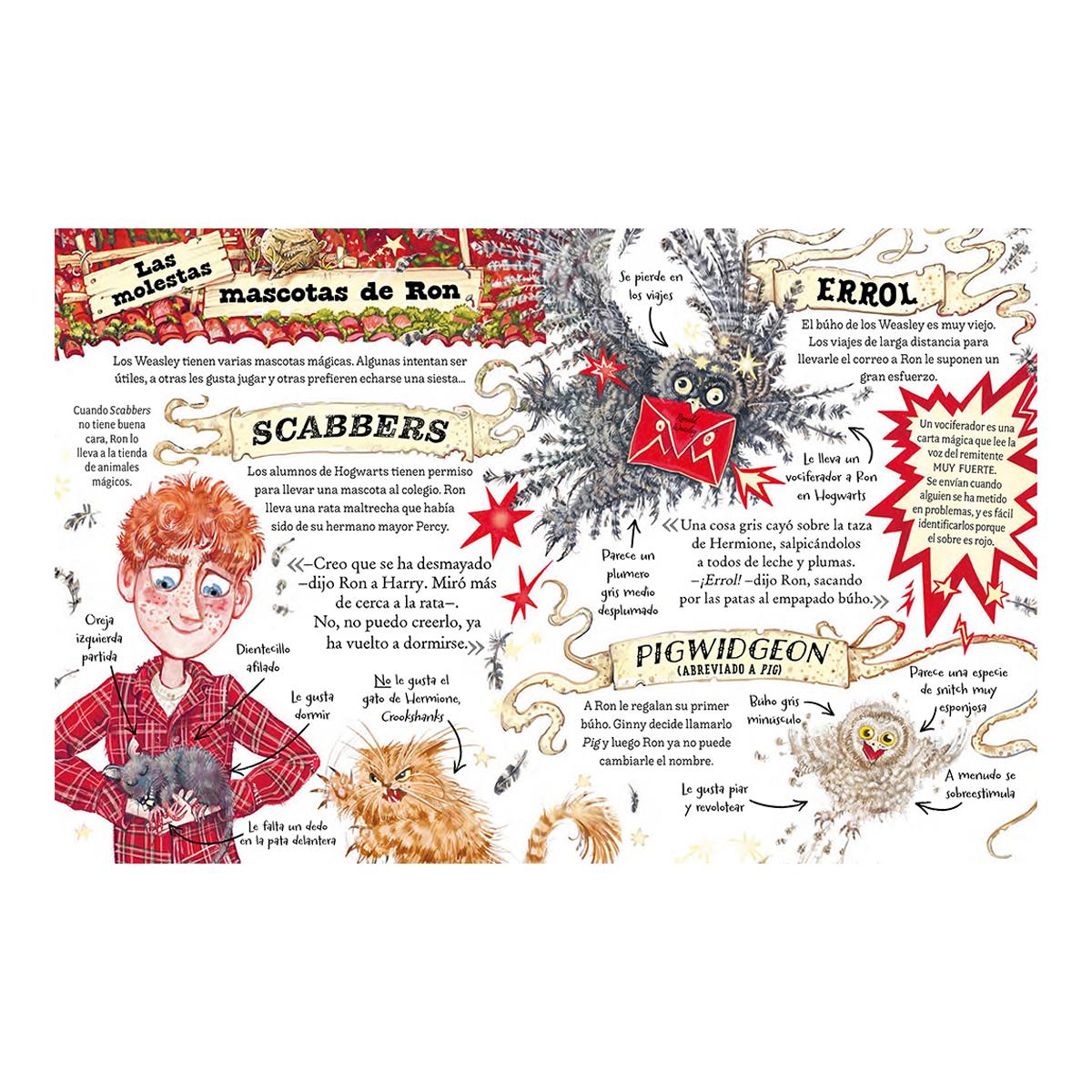 Pocket Potters 2 - Ron Weasley (Capa dura) 3