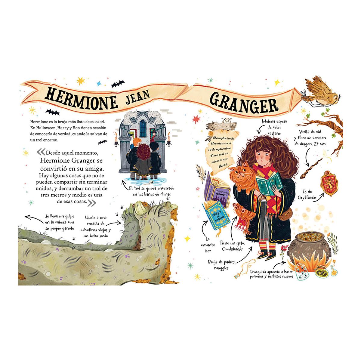 Pocket Potters - Hermione Granger  (Tapa dura) 6