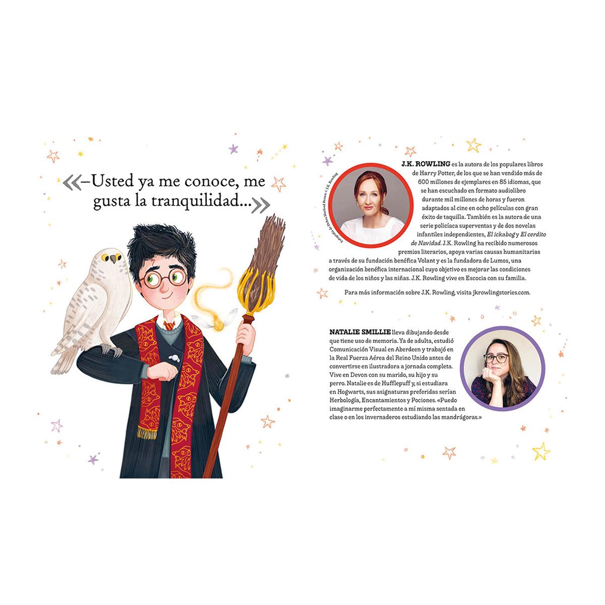 Pocket Potters - Harry Potter (Capa dura) 2