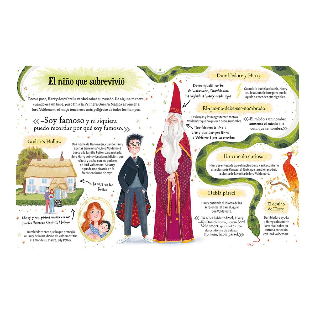 Pocket Potters - Harry Potter (Capa dura) 3