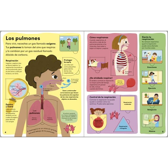 Yo y mi cuerpo: Descubre cómo eres por dentro 3