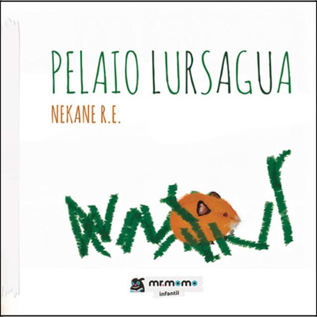 Pelaio lursagua 1