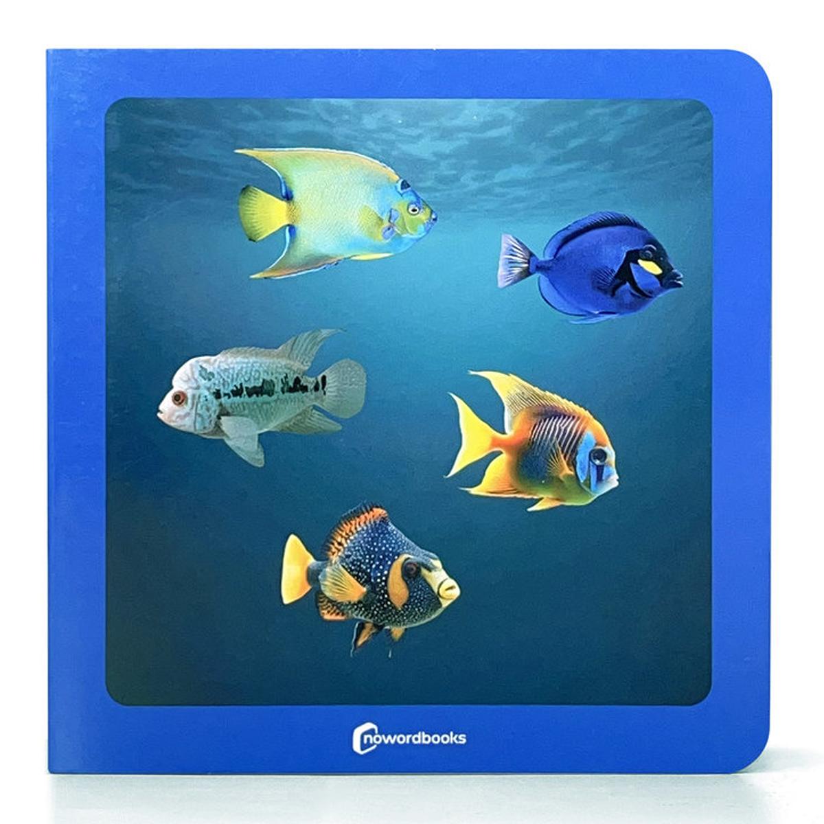 Donde estan los peces? 1
