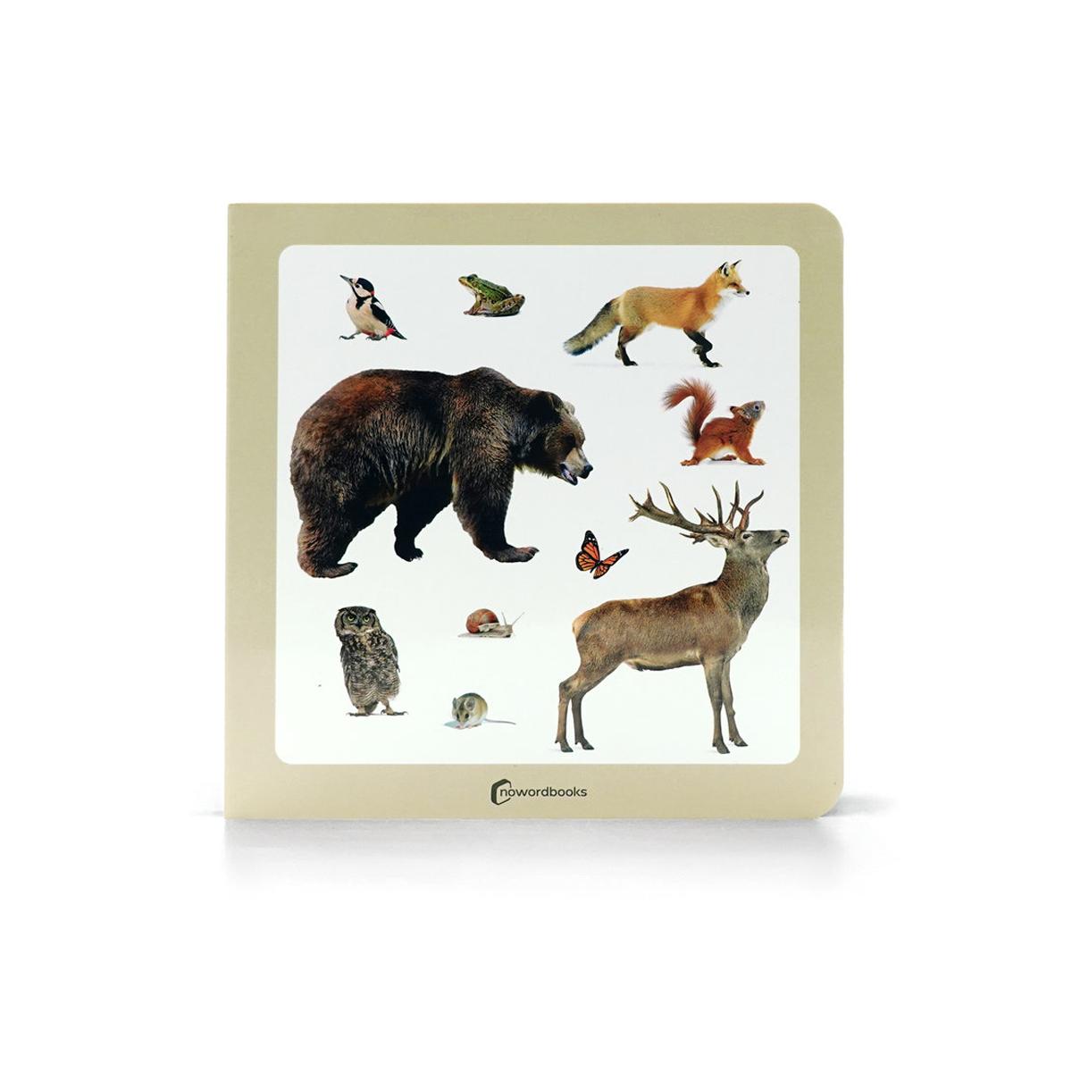 Los animales del bosque 2 1