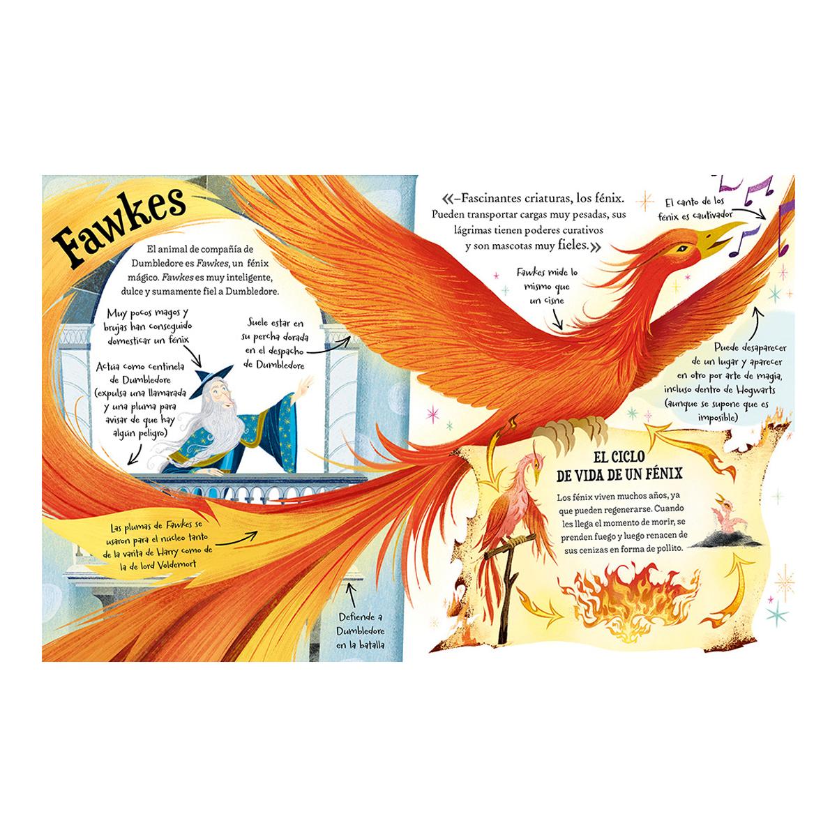 Pocket Potters - Dumbledore (Capa dura) 6