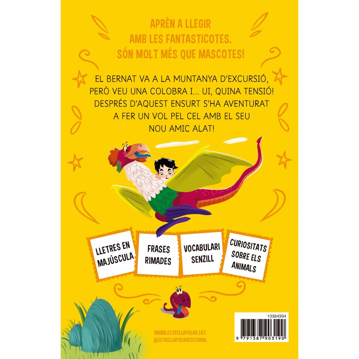 Aprèn a llegir amb les Fantasticotes 14. El Bernat i l'ensurt al penya-segat: En lletra MAJÚSCULA per aprendre a llegir llibres per a ne (Capa mole) 2