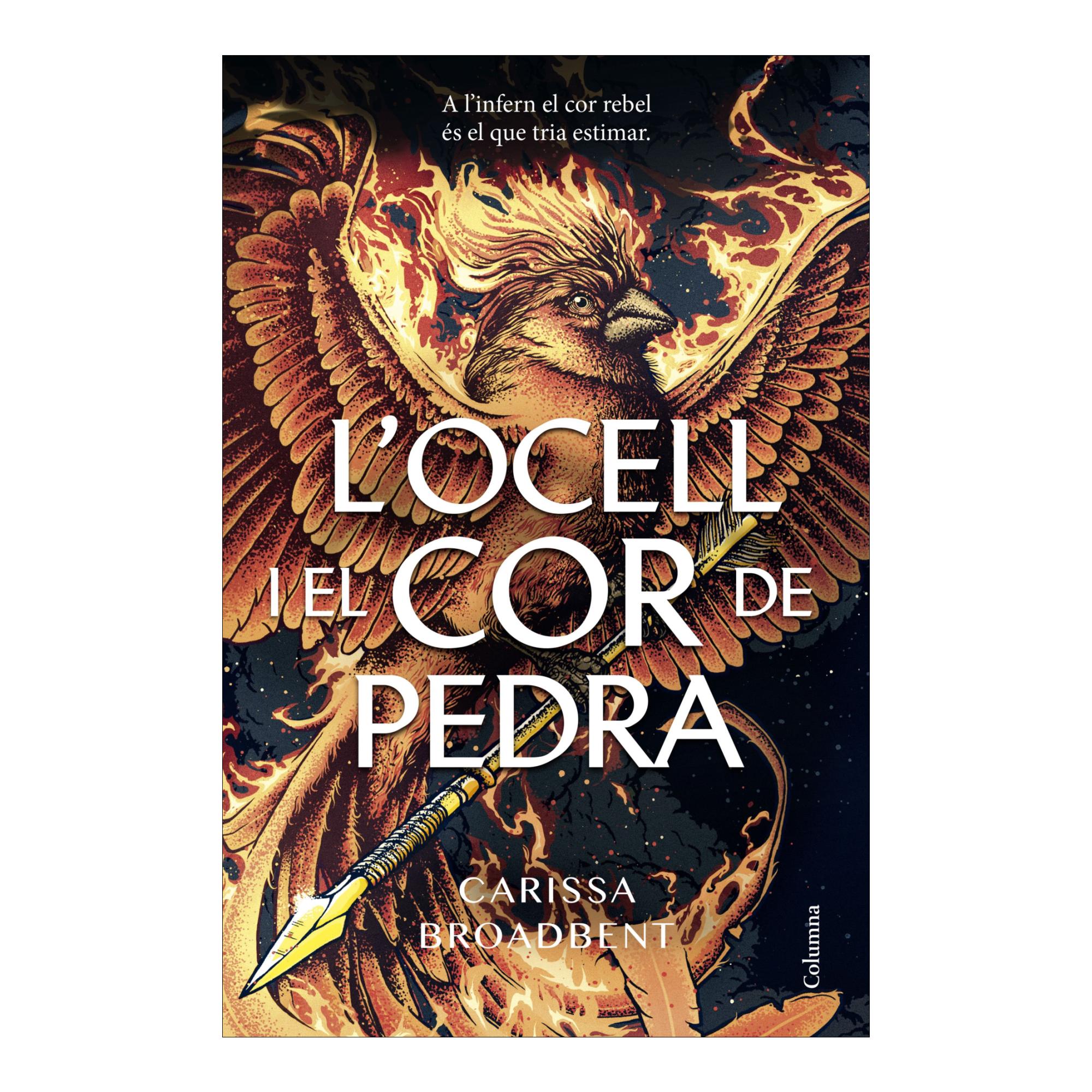 L'ocell i el cor de pedra 1
