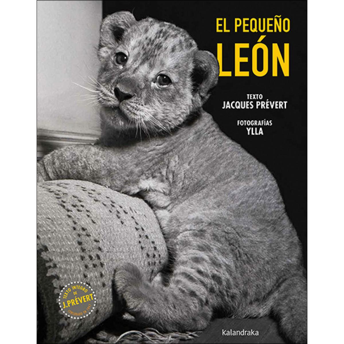 El pequeño león (Capa dura) 1