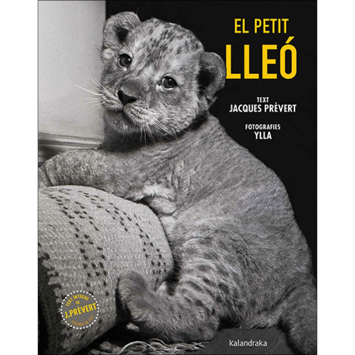 Imagem 0 de El petit lleó (Capa dura)