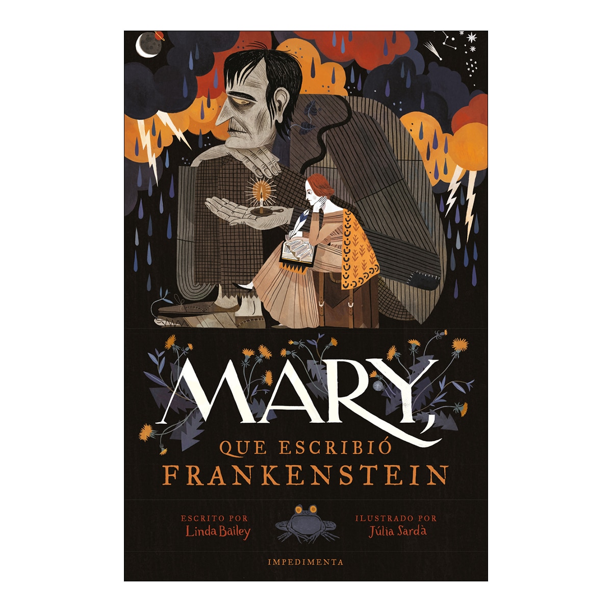 Mary, que escribió Frankenstein (Capa mole com abas) (Rústica) 1