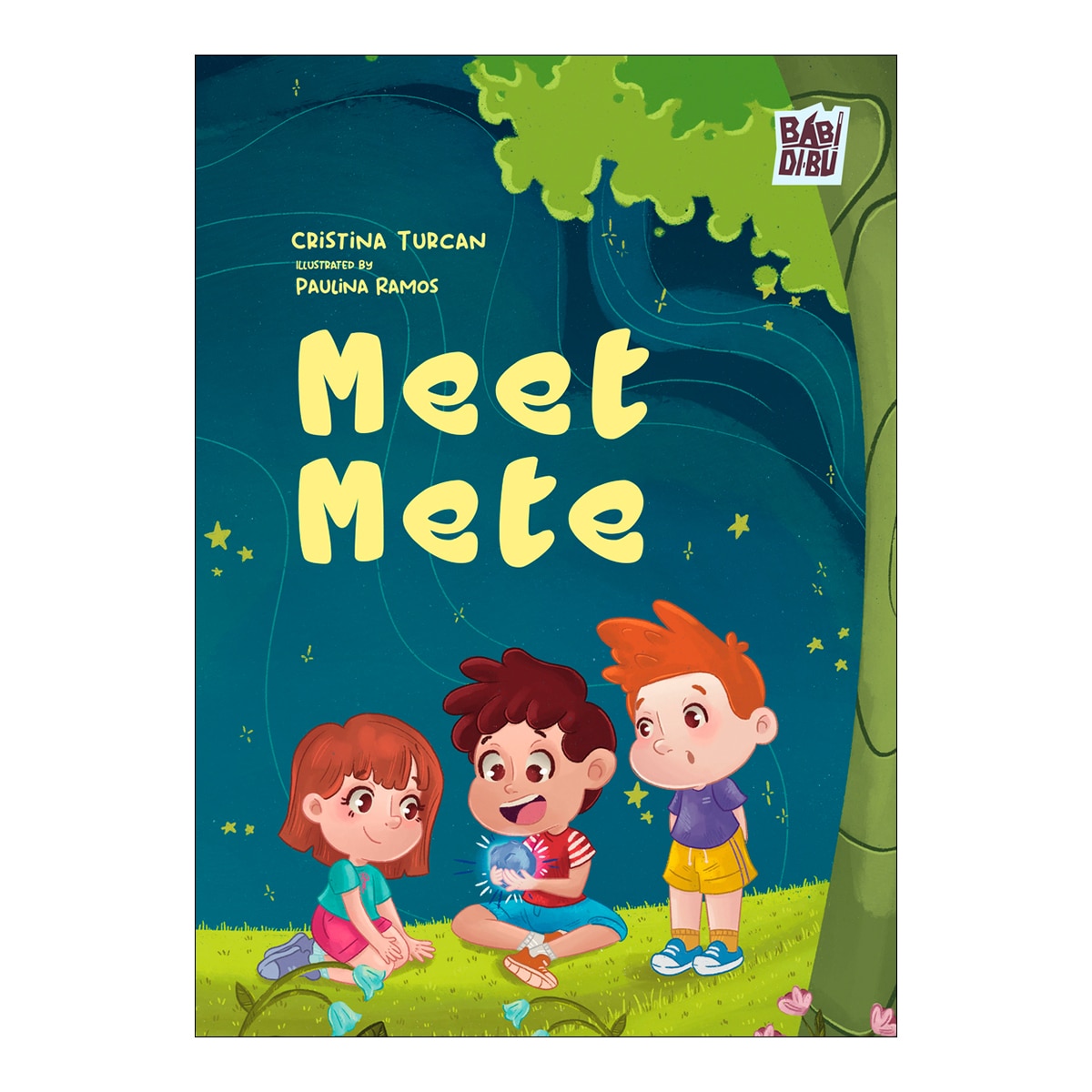 Meet Mete 1