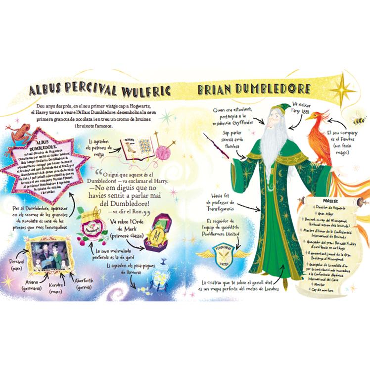 Professor Dumbledore (Pocket Potters 4) 2