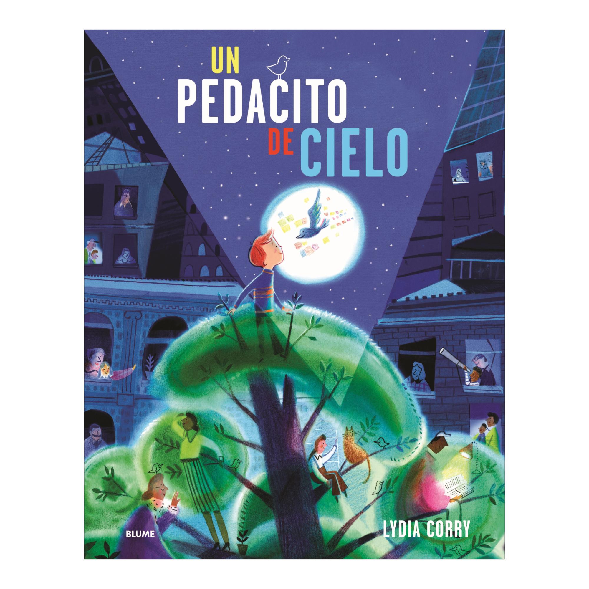 Pedacito de cielo (Capa dura) 1