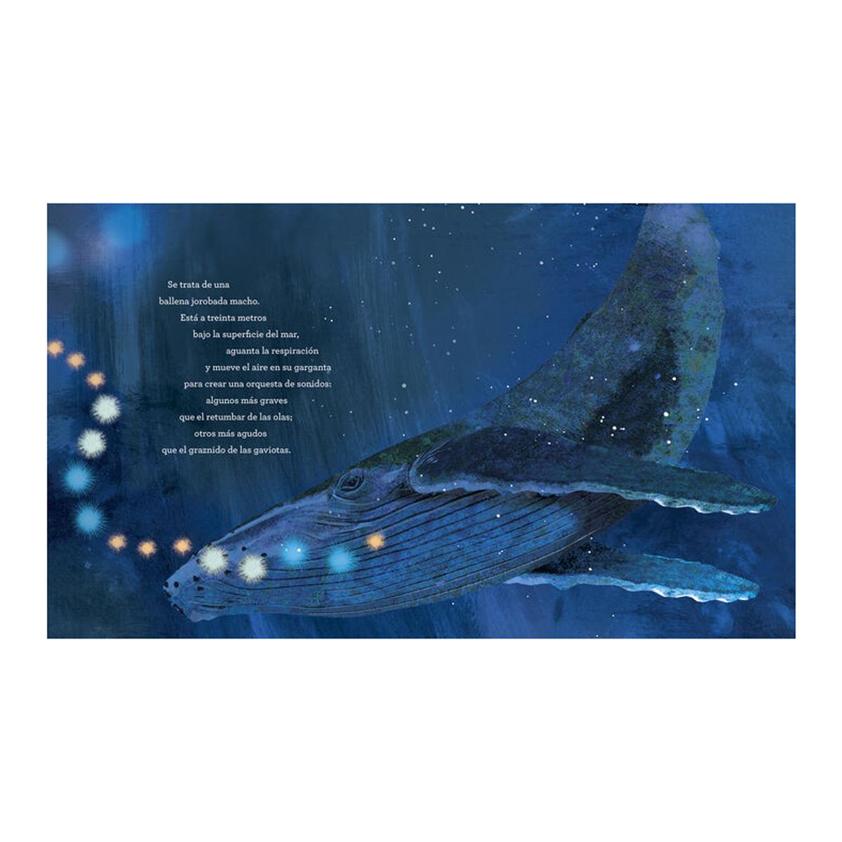 El canto de las ballenas (Capa dura) 4