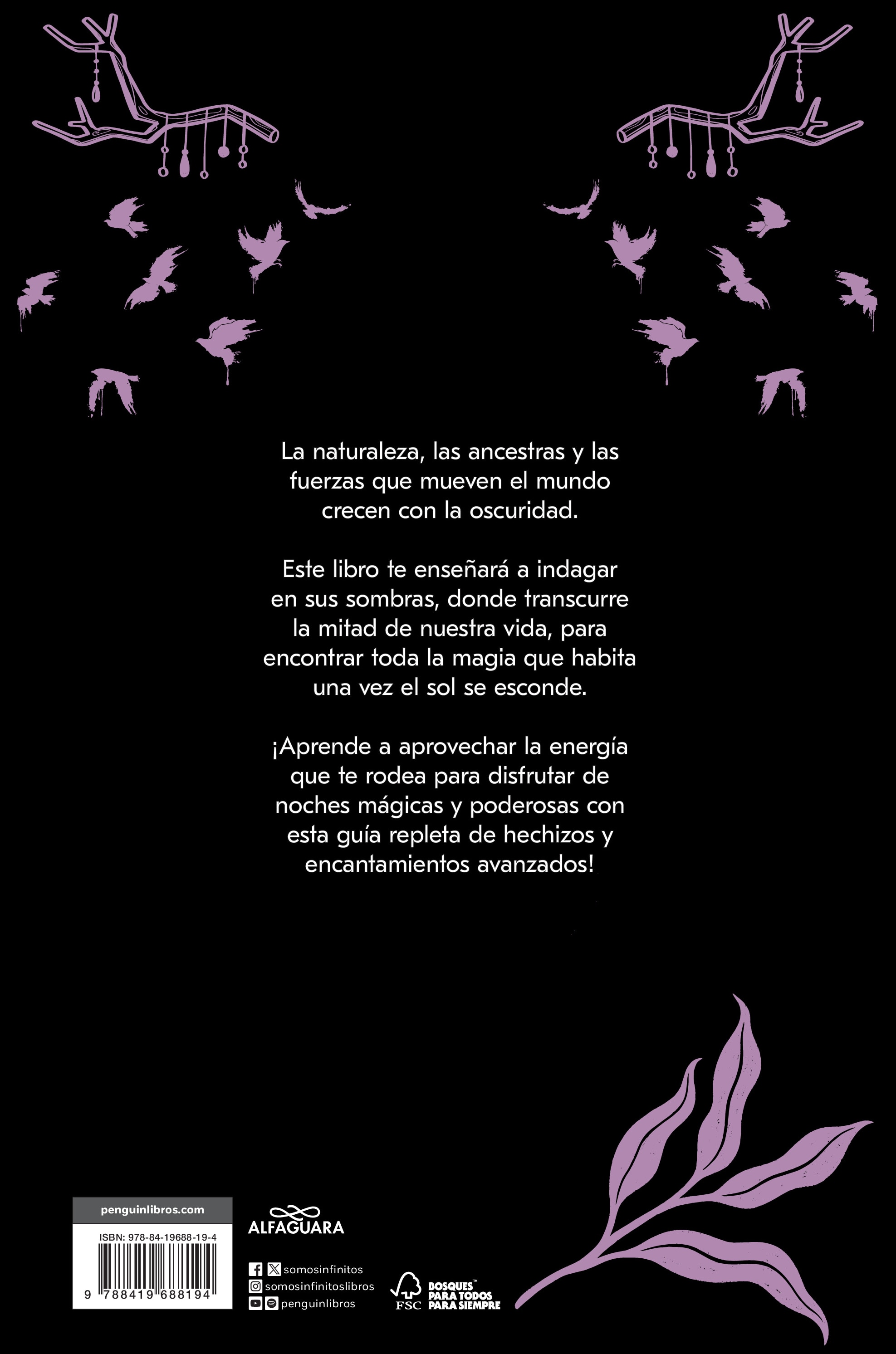 Bruja de noche: Hechizos y encantamientos para dominar la magia de la noche (Capa mole) 2