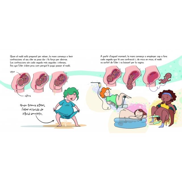 Així es fa un nadó! (mini Menstruita): El meu primer llibre d'educació sexual  (Tapa dura) 6