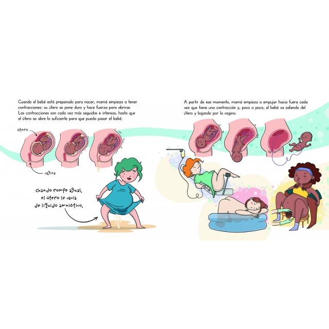 ¡Así se hace un bebé! (mini Menstruita): Mi primer libro de educación sexual  (Tapa dura) 7
