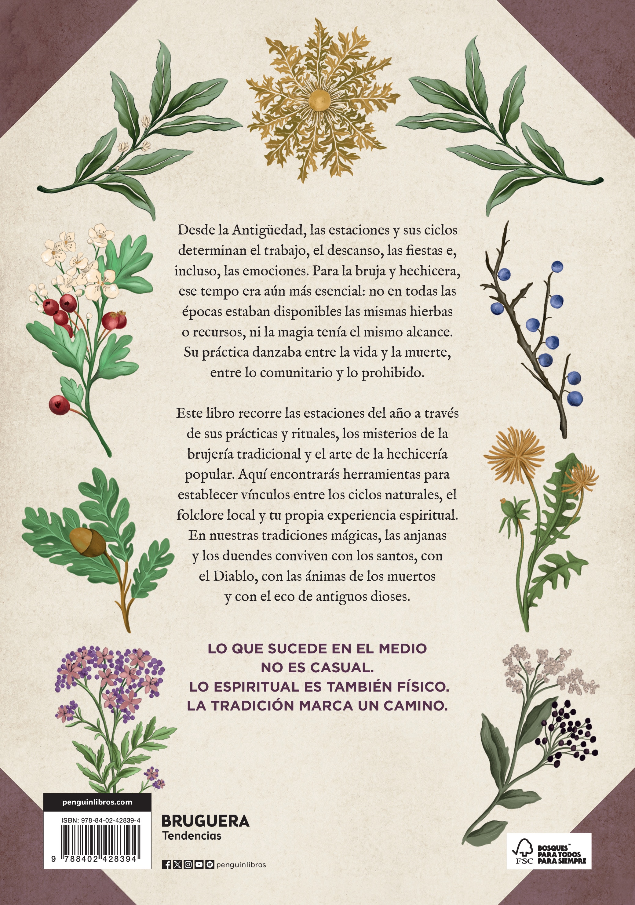 Almanaque de la bruja tradicional: Rituales, magia y folklore a lo largo del año (Capa dura) 2