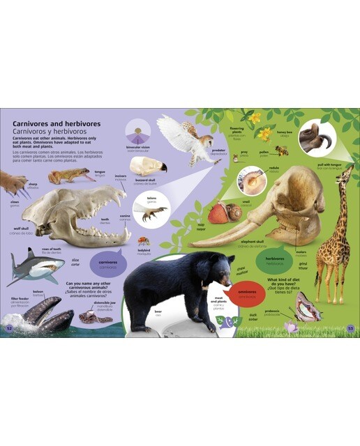 1000 palabras: Animales / 1000 Words: Animals: Aprende vocabulario en inglés y español (Capa dura) 6