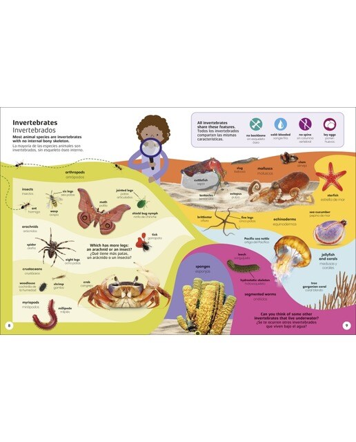 1000 palabras: Animales / 1000 Words: Animals: Aprende vocabulario en inglés y español (Capa dura) 8