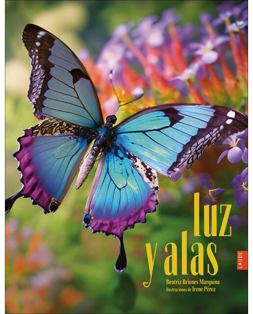 Luz y alas 1