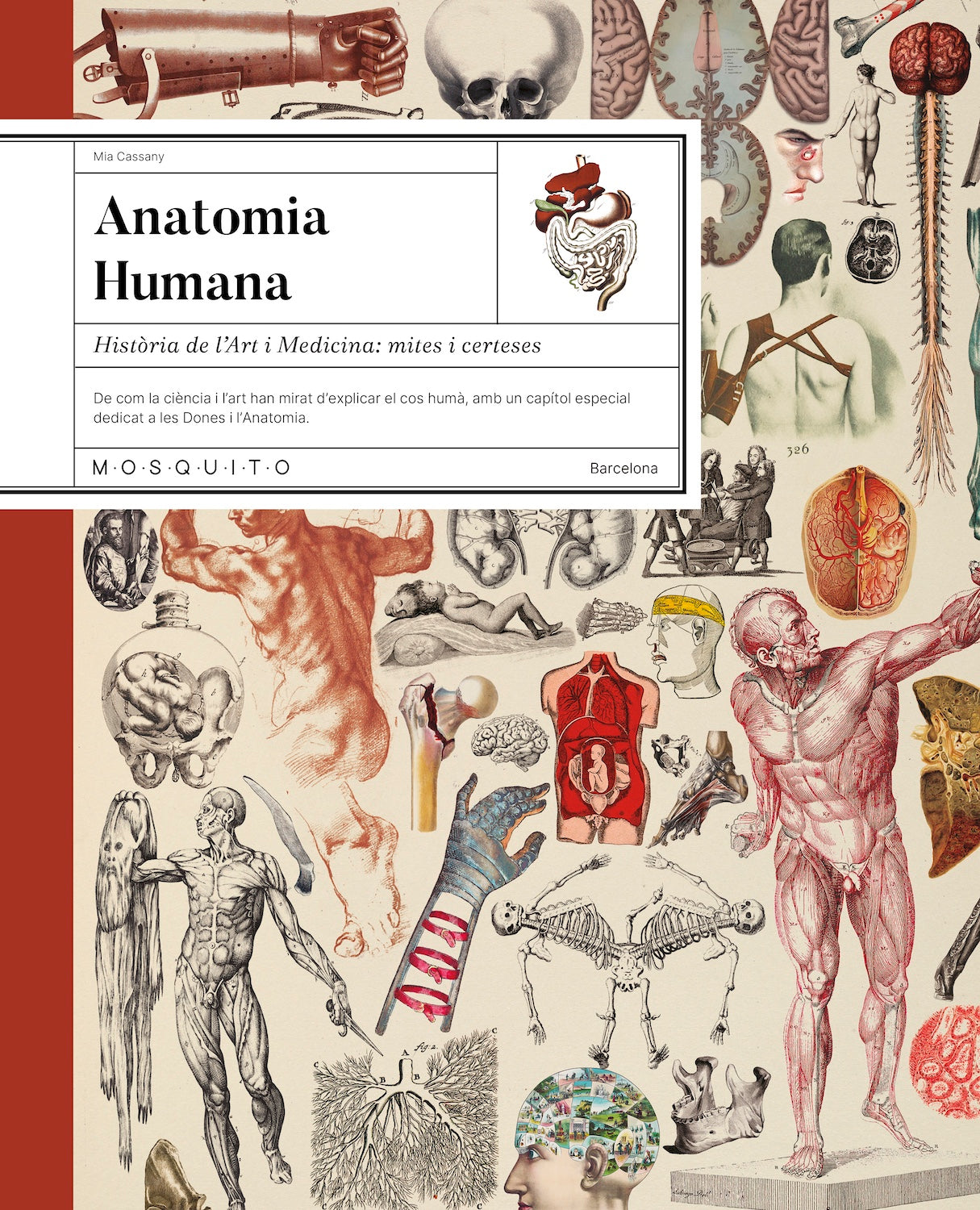 Imagem 0 de ANATOMIA HUMANA  (Capa Dura)
