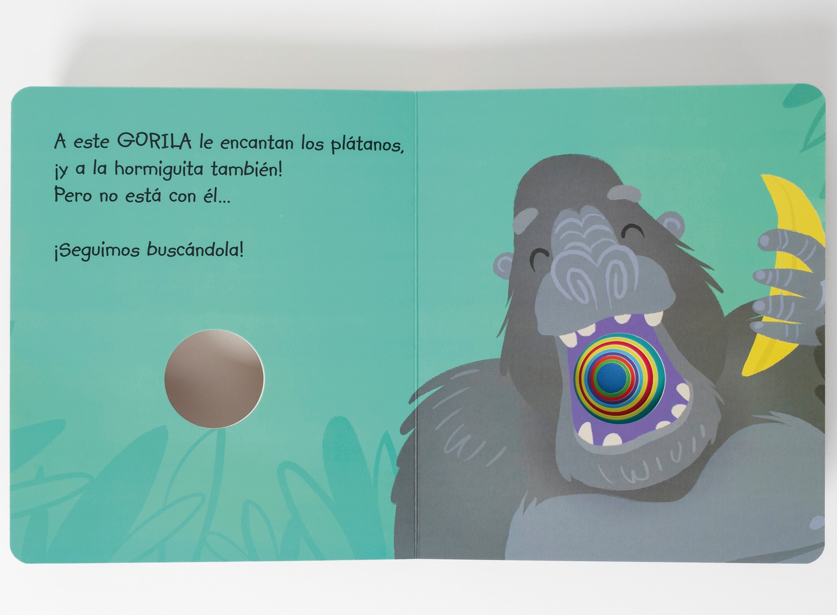 ¿Quién ha visto a la hormiguita? (Capa dura) 4