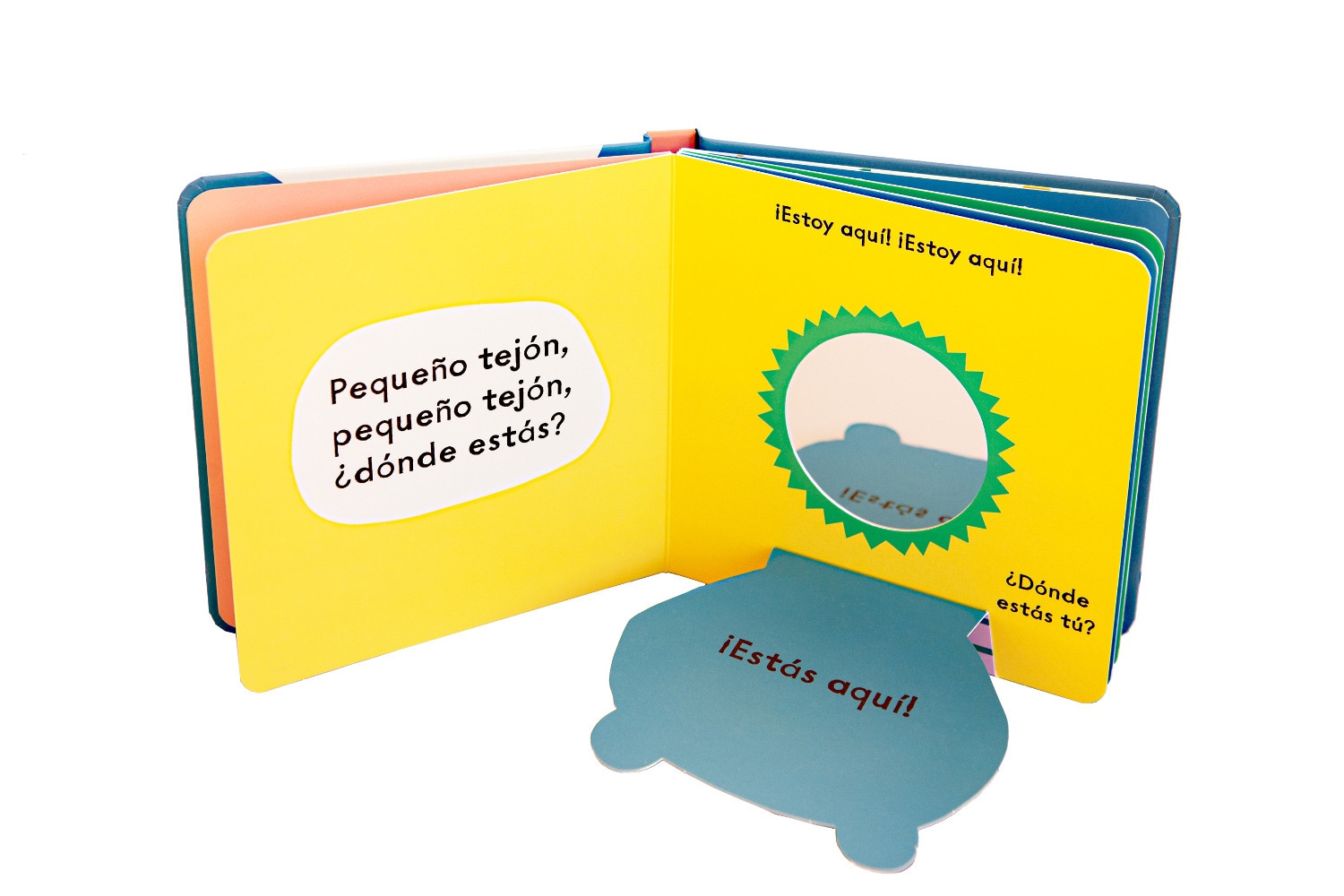 Pequeño búho, ¿dónde estás? 2