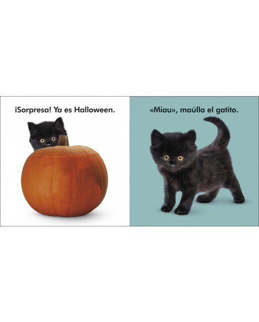 Toca y aprende - Halloween 5