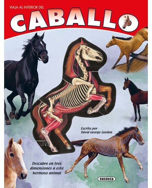 El caballo 1