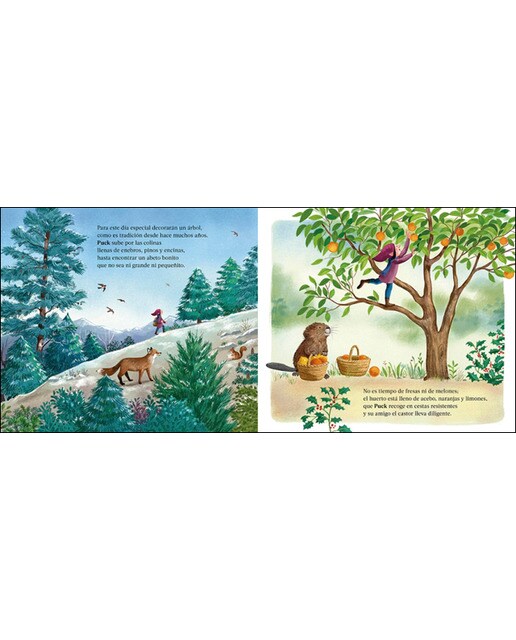 La gran fiesta del invierno (Cuentos Waldorf con rimas): Un cuento Waldorf con rimas (Capa dura) 6