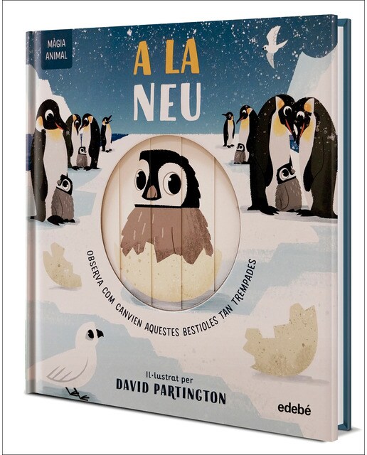 MÀGIA ANIMAL: A LA NEU 1