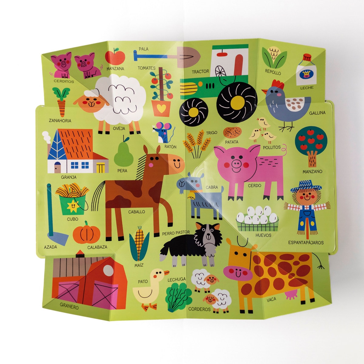 Imaginario pop-out (Capa dura) 4